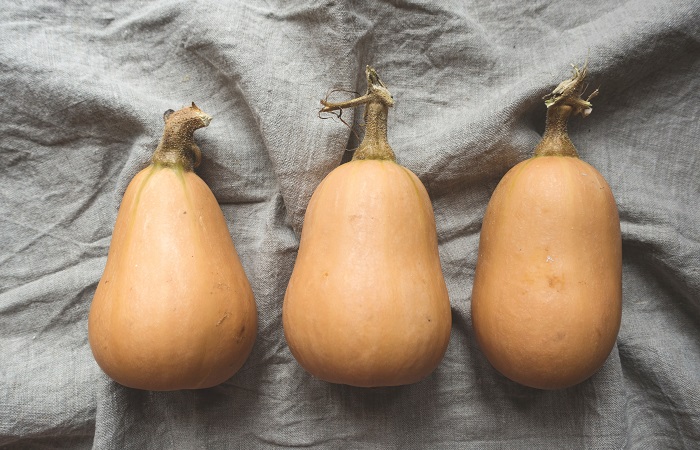 Courges d'hiver
