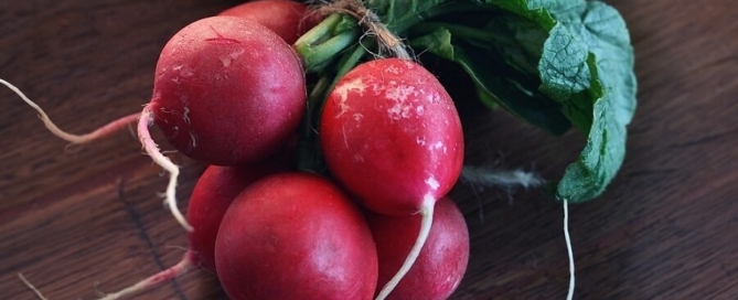 Salade radis bio