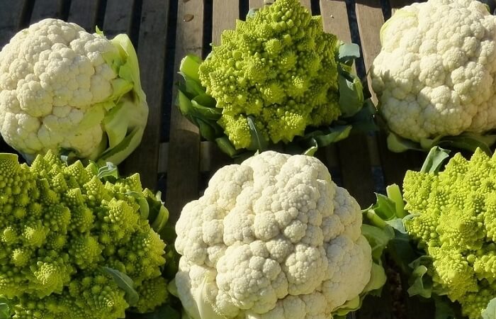 Chou-fleur biologique