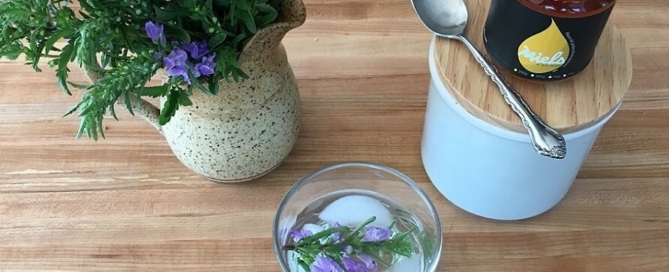 Infusion_Melisse bio