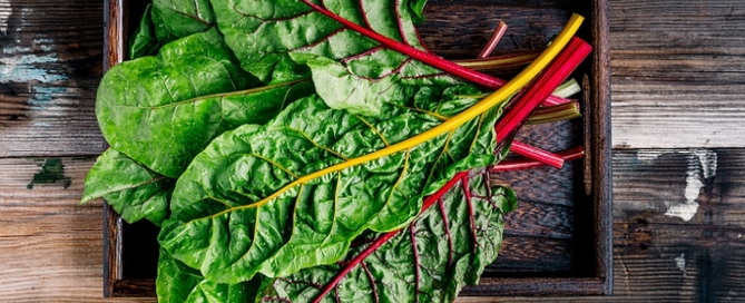 Pate bette et courge bio