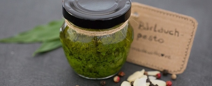 Pesto Roquette Pousse