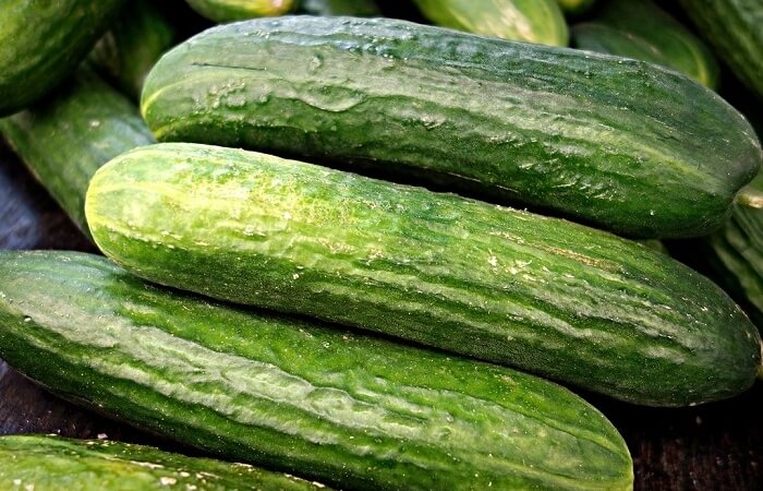 Concombre biologique